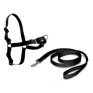 ARNES EASY WALK MEDIANO NEGRO