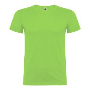 CAMISETA BEAGLE VERDE OASIS T.L