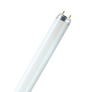 TUBO FLUORESCENTE 36 W 6500 K 3150 lm T8 120 cm G13 LUZ FRIA